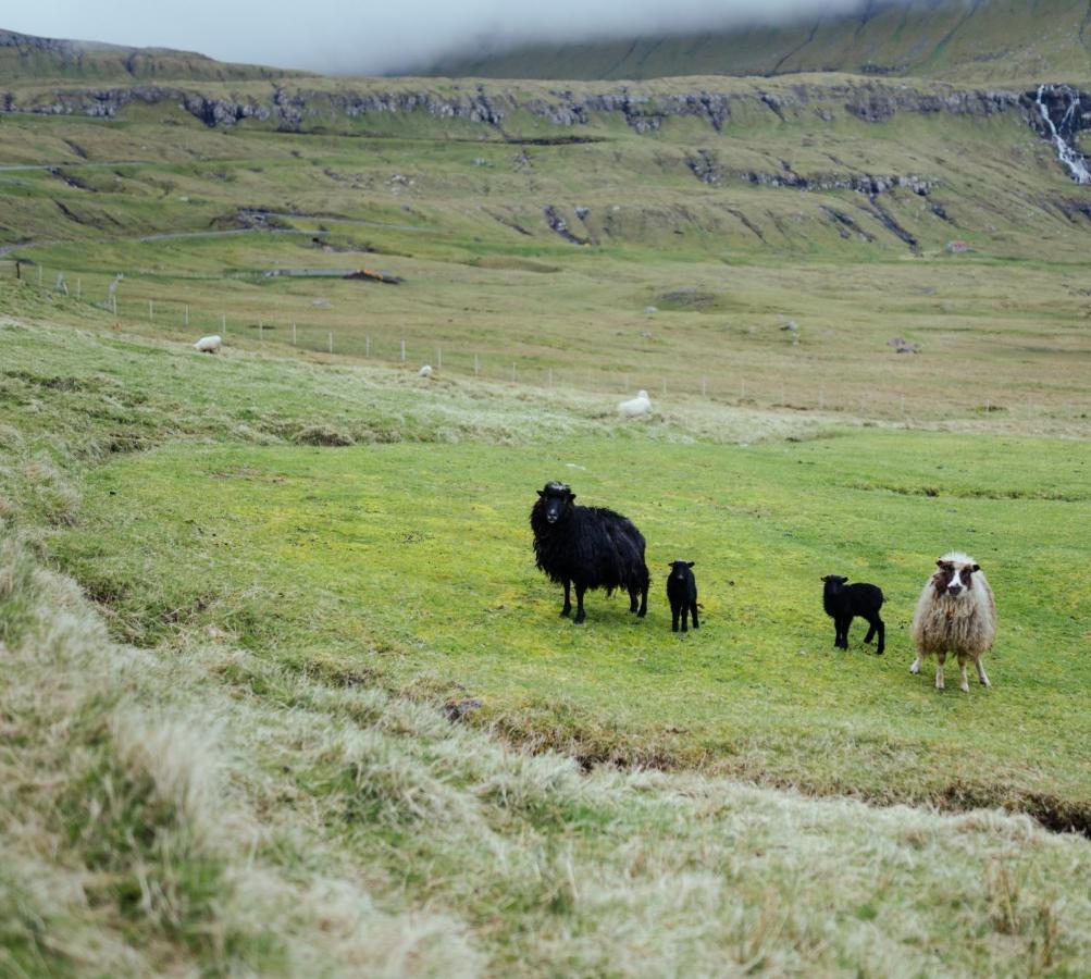 Authentic Faroese House / Unique Location / Nature Hellurnar Buitenkant foto